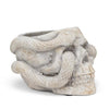 Small Skull Planter with Snake-4.5"H