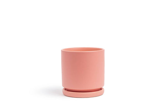 10.5" Gemstone Cylinder Pots with Water Saucers: Bubblegum