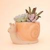 Snail Planter - Sunset - Small