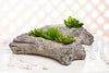 Slim Log Planter: Medium (12"L)
