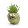 Bloomies Tater Blobhouse Planter - Green