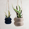 Hanging Bubble Planter | Double Bubble Collection: Muted Green / 6"