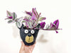 Tradescantia 'Nanouk' Pink Wandering Dude in Bruno the Black Bear Head Blobhouse Planter