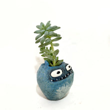  Blue monster-shaped planter with a green succulent on a white background
