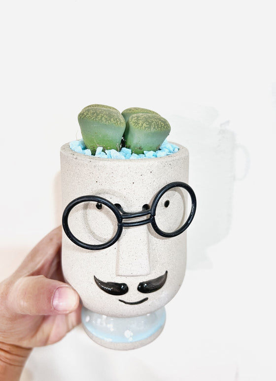 Lithop and Man planter