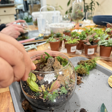  Tropical Terrarium for Your Private Group (Choose you own date & time)