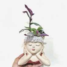  Tradescantia Arrangement in Flower Girl Ceramic Planter