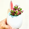 Lg Egg w/Bunny Ears Planter-5.5"H-1204