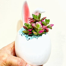  Lg Egg w/Bunny Ears Planter-5.5"H-1204