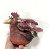 Strawberry_bergonia_inRooster