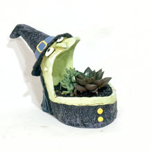  Witch hat planter with succulents on a white background