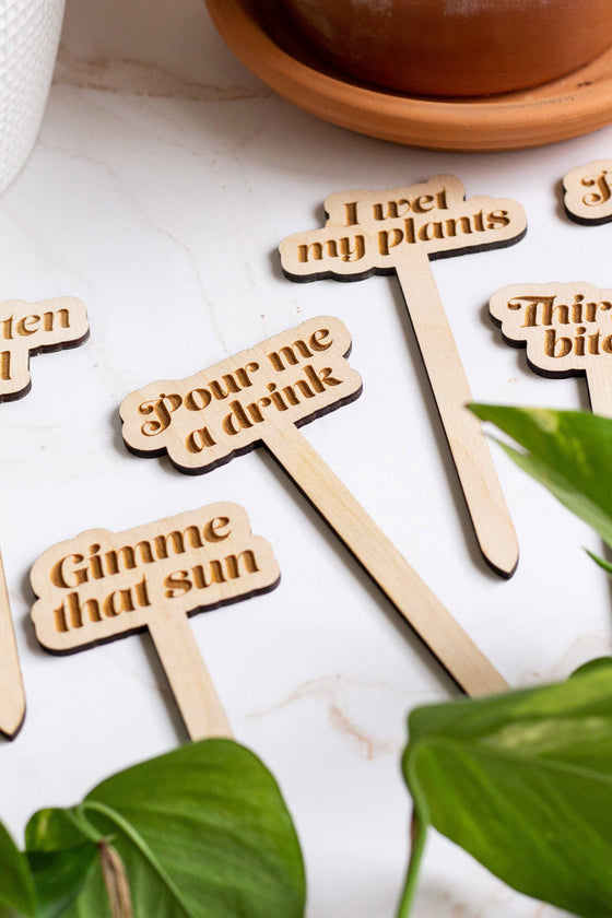 Funny Wooden Plant Markers: Living My Best Life