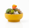 9" Pedestal Home and Garden Bowls: Midnight