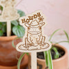 Cowboy Frog Plant Stake