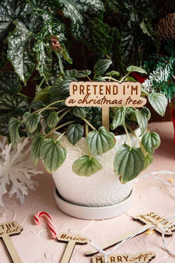 Funny Christmas Wooden Plant Markers: Merry Christmas Bitch