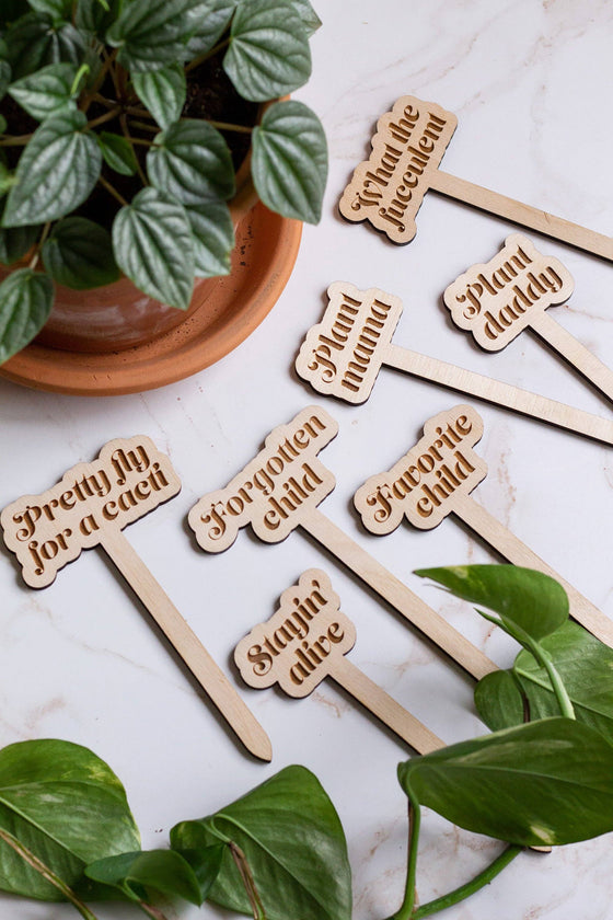 Funny Wooden Plant Markers: Crazy plant lady