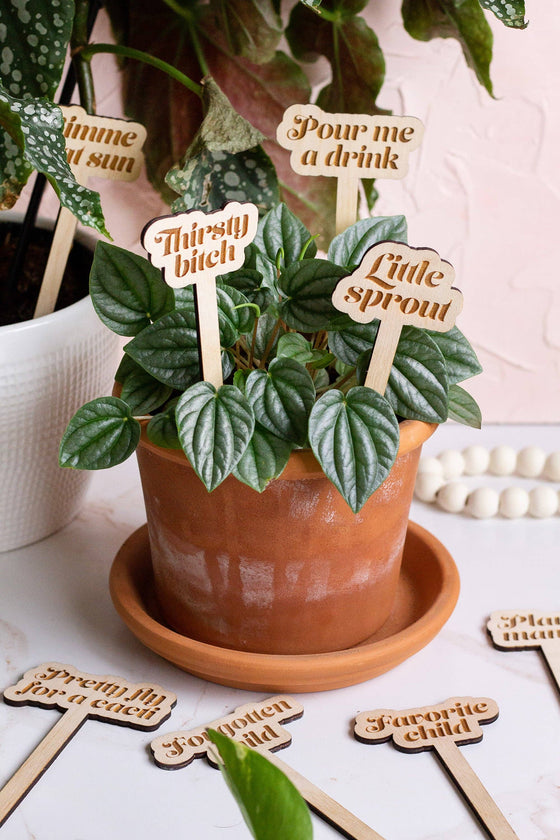 Funny Wooden Plant Markers: Love Grows Here