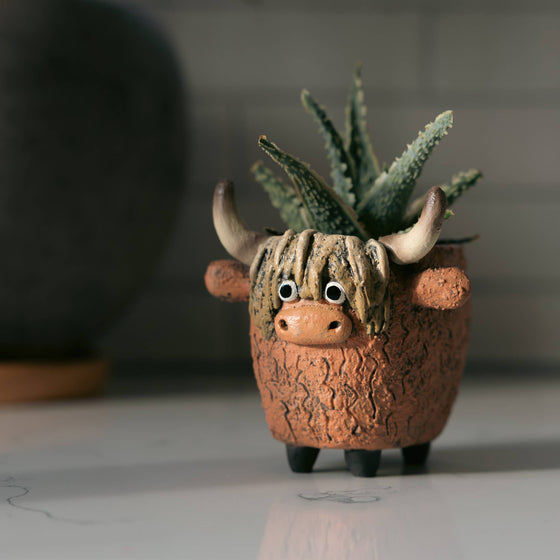 Dougal the Highland Cow Blobhouse Planter