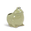 Lg Sitting Frog Planter-6.5"H-857