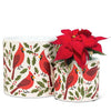 Large Cardinals & Holly Planter