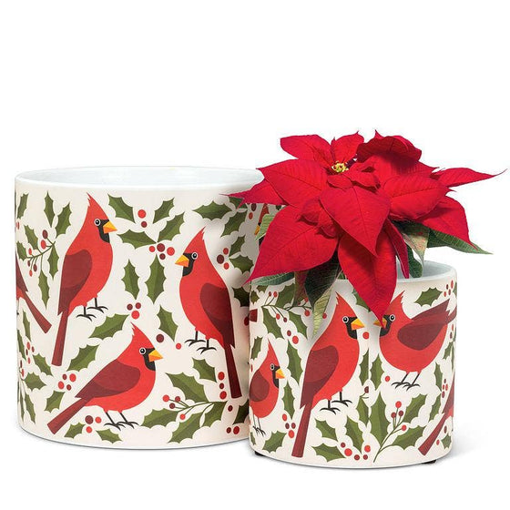 Large Cardinals & Holly Planter