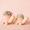 Turtle Planter - Pink: M