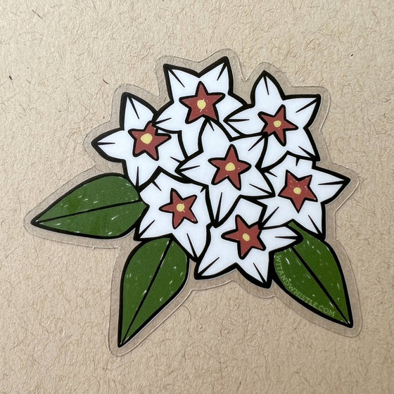 Sticker - Hoya Bella