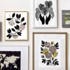Hoya Carnosa Art Print: 11"x14"