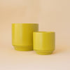 Parker Planter | Palm Speckle with Trivet: 4.5 inch