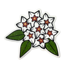  Sticker - Hoya Bella