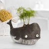 Goliath Whale Blobhouse Planter