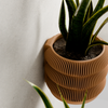 Hanging TRIPLE BUBBLE Wall Planter: Natural Wood / Small