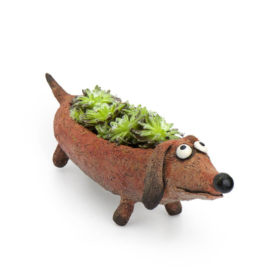 Dobby Doxin, Dog Blobhouse Planter