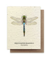 Green Darner Dragonfly Plantable Wildflower Seed Card: Glassine Sleeves