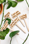 Retro Funny Wooden Plant Markers: Crazy plant lady