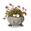 Romeo Mini Frog Blobhouse Planter