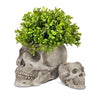 Lg Skull Planter-5"H-970