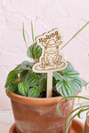 Cowboy Frog Plant Stake