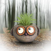 Baby Brown Owl - Owen - Mini Blobhouse Planter