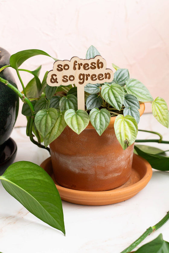 Retro Funny Wooden Plant Markers: Crazy plant lady