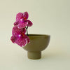 ceramic_planter_green