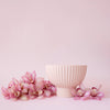 ceramic_planter_pink