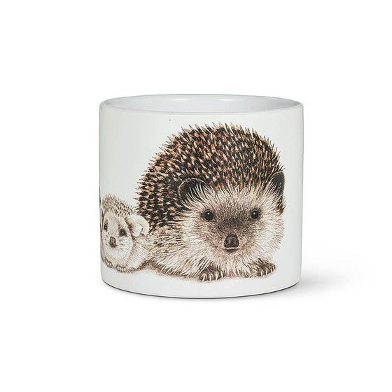 Sm Hedgehog Family Planter-4.5"