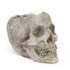 Lg Skull Planter-5"H-970