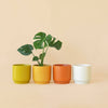 Parker Planter | Marmalade Speckle with Trivet: 6.75 inch