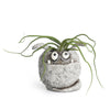 SPUD Mini Blobhouse Planter
