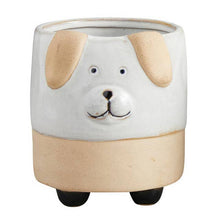  Dog Face Pot
