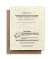 Morel Mushroom Plantable Wildflower Seed Card: Glassine Sleeves