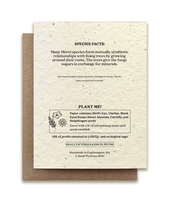 Morel Mushroom Plantable Wildflower Seed Card: Glassine Sleeves – Leaf & Moss