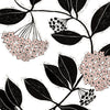 Hoya Carnosa Art Print: 11"x14"